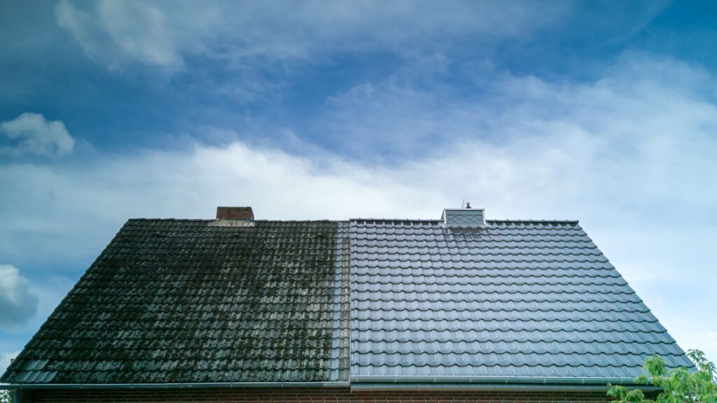 roof clean