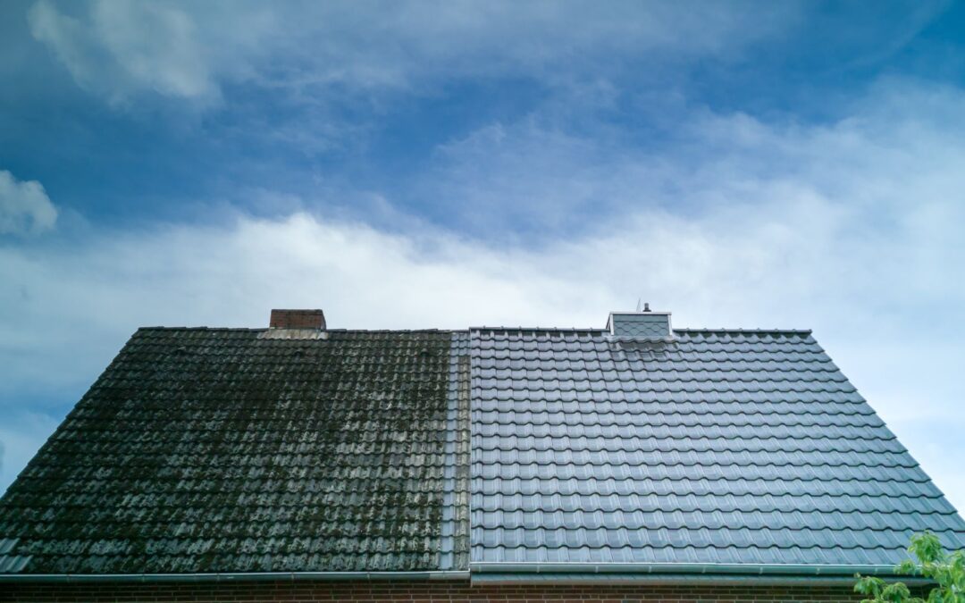 Roof Cleaning Work
