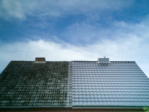 Roof Cleaning Work